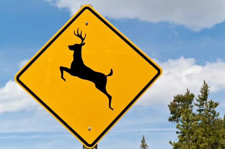 Yellow deer crossing sign